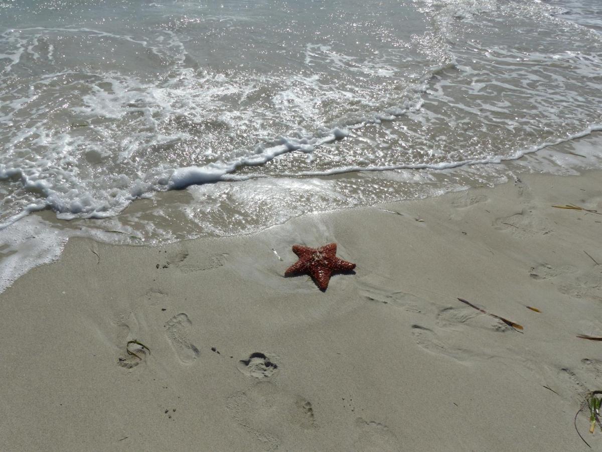 Kleiner Seestern Cuxhaven Ngoại thất bức ảnh